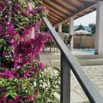 Дом отдыха House Forest