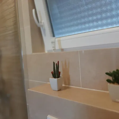 House Forest Šibenik