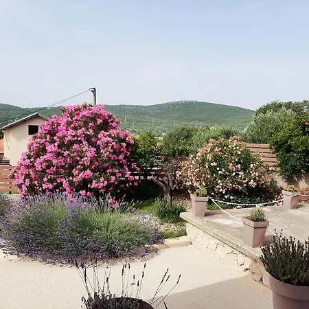 Σπίτι διακοπών House Forest Σίμπενικ