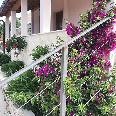 House Forest Сasa de vacaciones Šibenik