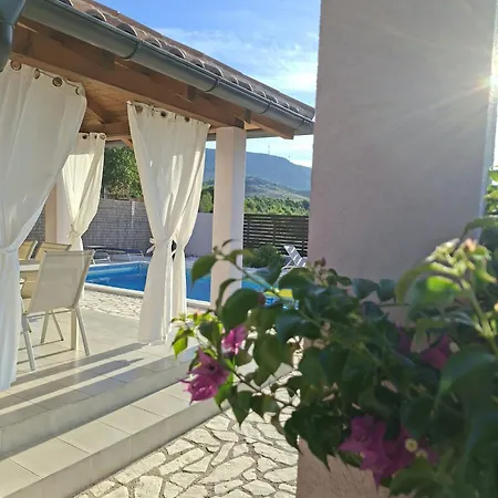 House Forest Nyaraló
