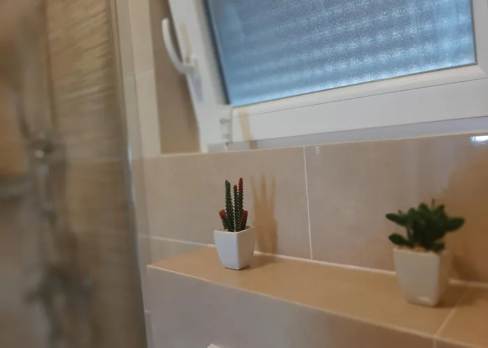 House Forest שיבניק